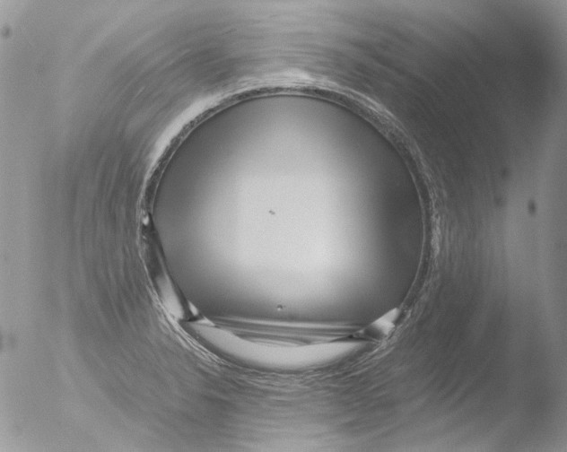 X0000051251326200507152139