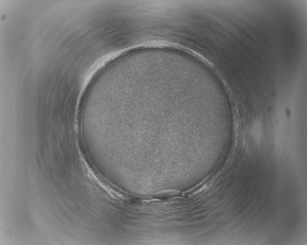 X0000051251327200507152139