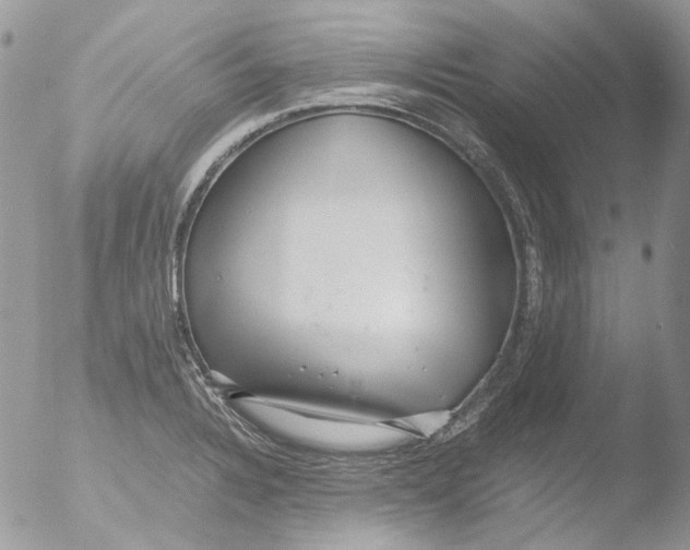 X0000051251328200507152139