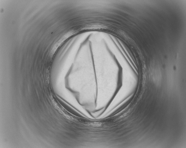 X0000051251329200507152139