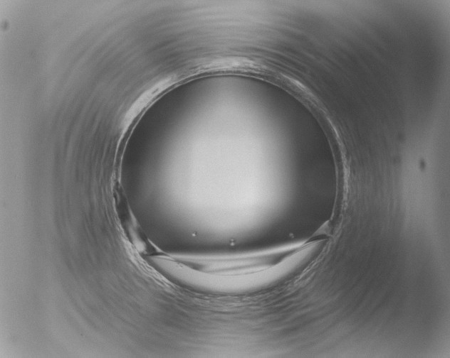 X0000051251330200507152139