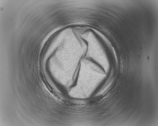 X0000051251331200507152139