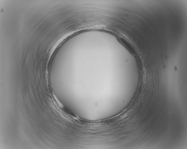 X0000051251332200507152139