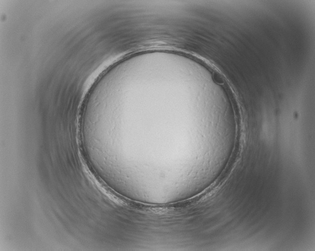 X0000051251333200507152139