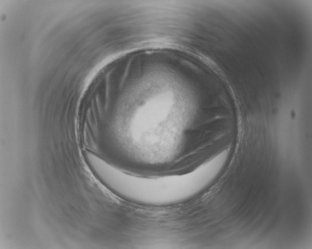 X0000051251334200507152139