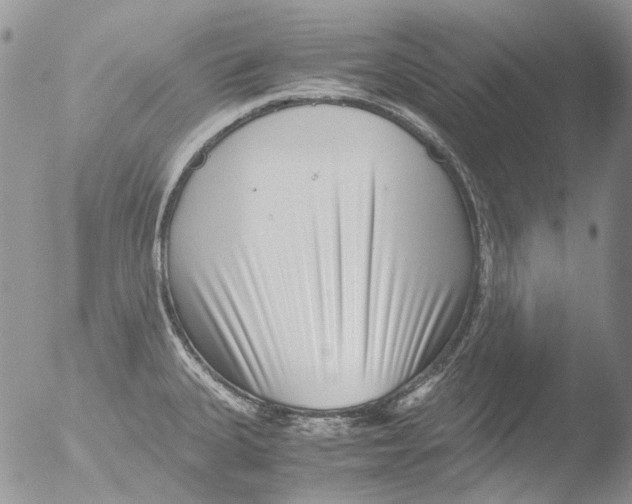 X0000051251335200507152139