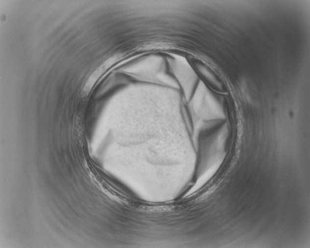 X0000051251337200507152139