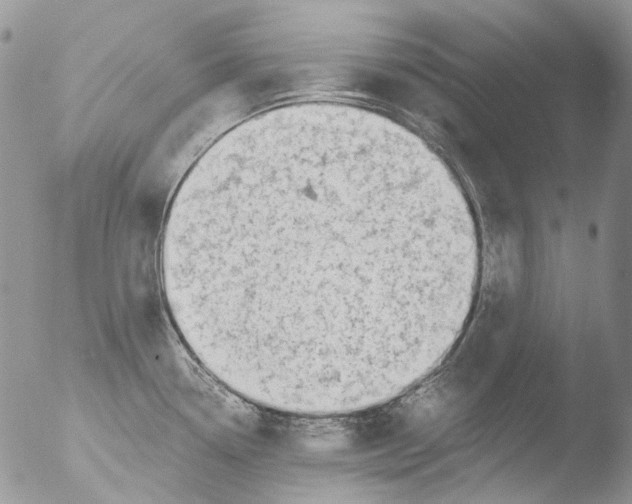 X0000051251338200507152139