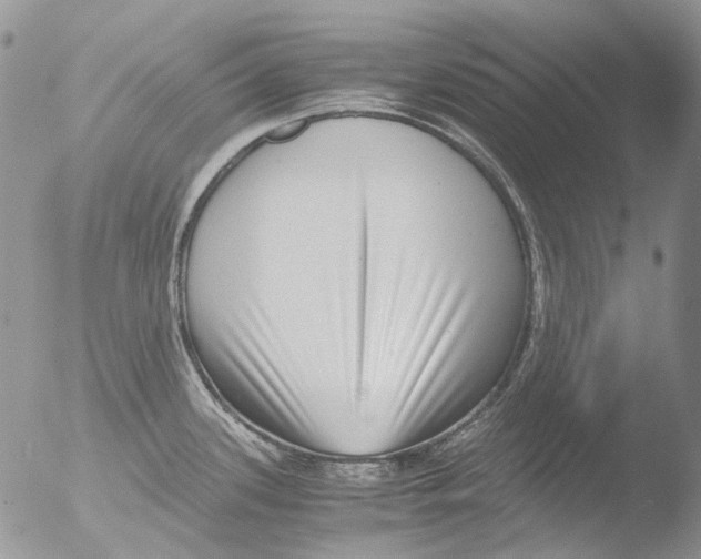 X0000051251339200507152140