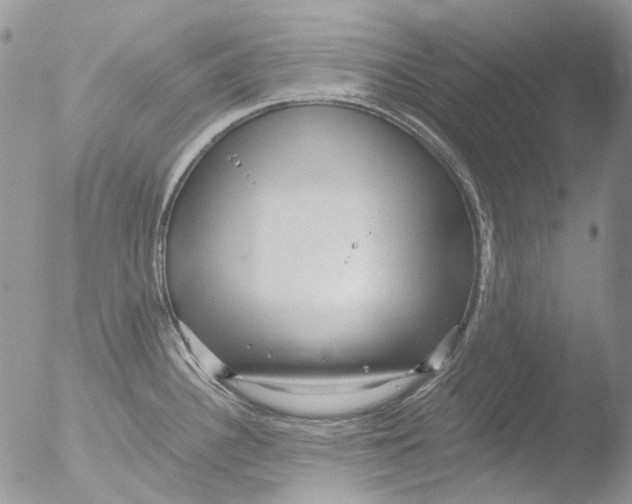 X0000051251340200507152140