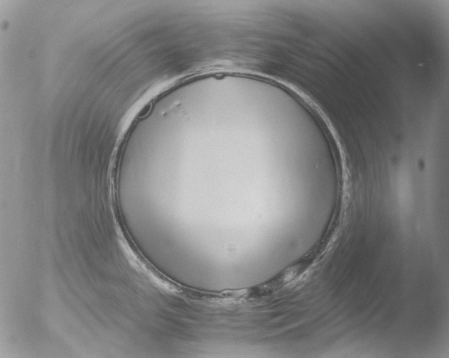 X0000051251341200507152140