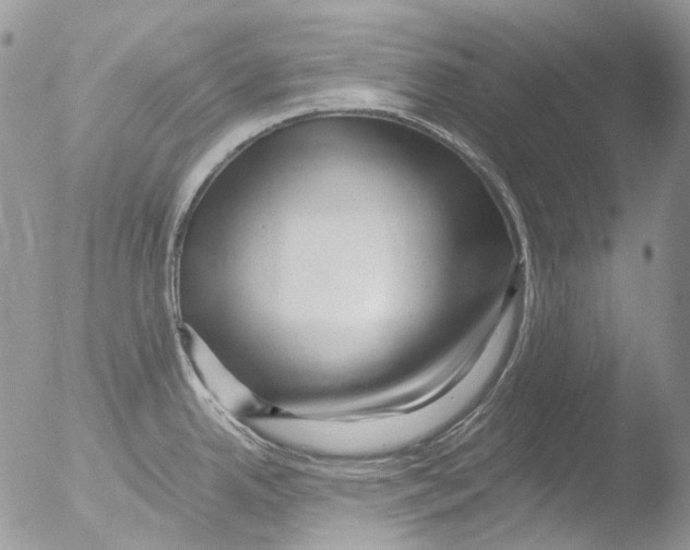 X0000051251342200507152140