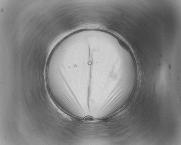 X0000051251343200507152140