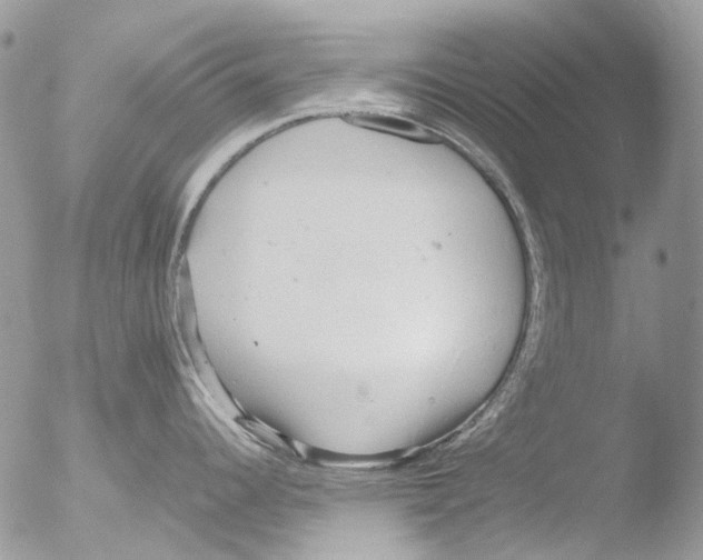 X0000051251344200507152140