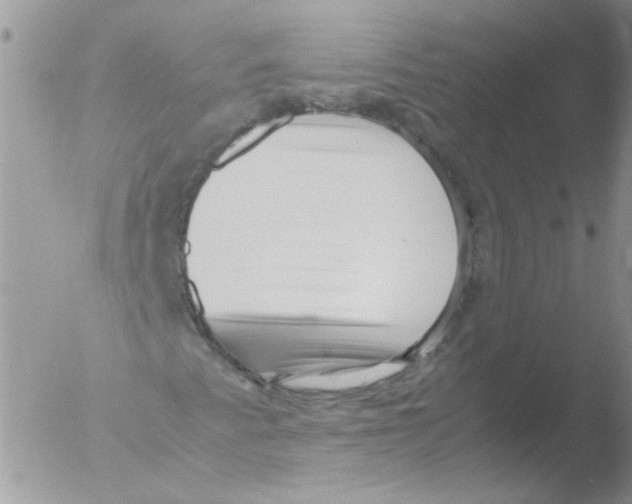 X0000051251345200507152139