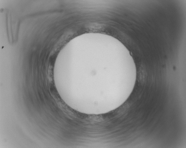 X0000051251346200507152139