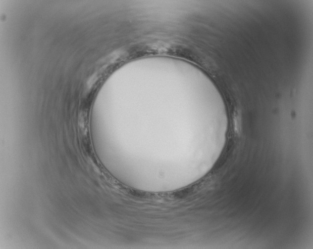 X0000051251347200507152139