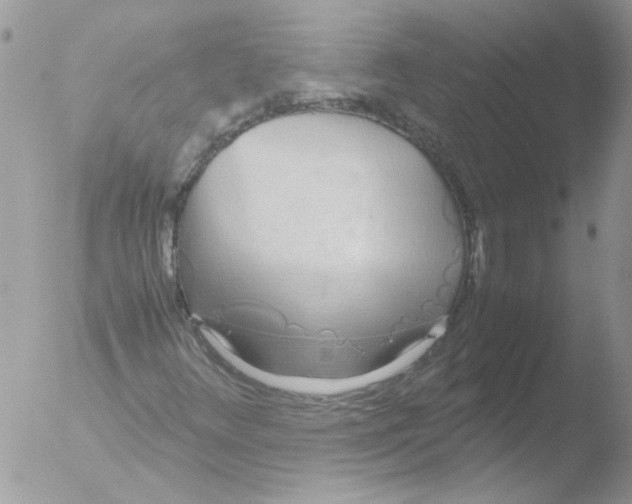 X0000051251348200507152139