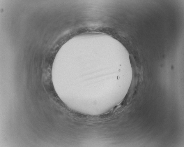 X0000051251349200507152139