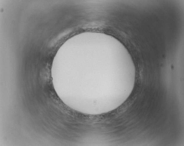 X0000051251350200507152139