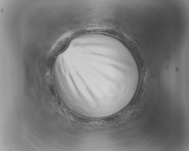 X0000051251351200507152139