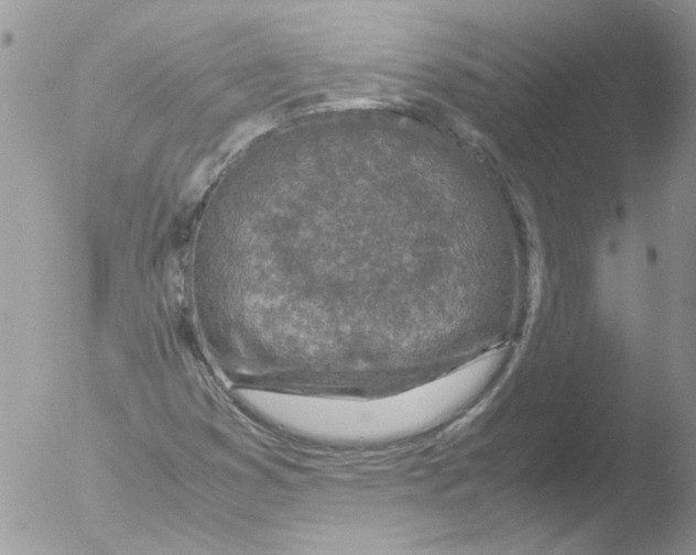 X0000051251353200507152139