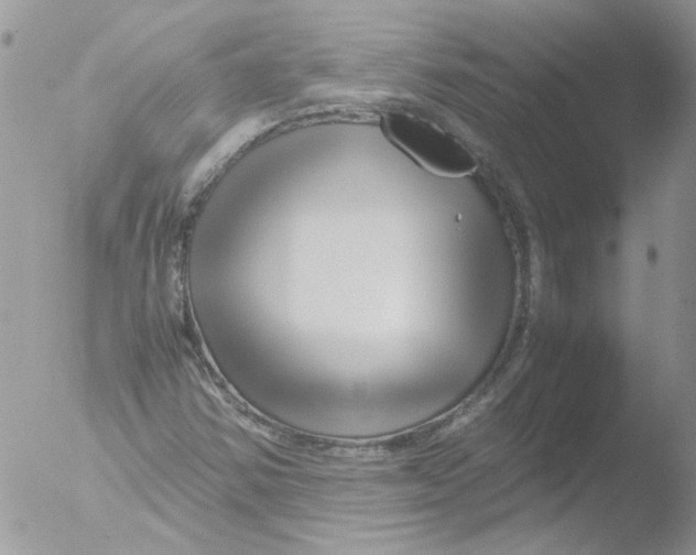 X0000051251354200507152139