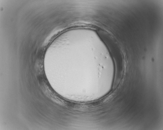 X0000051251355200507152139