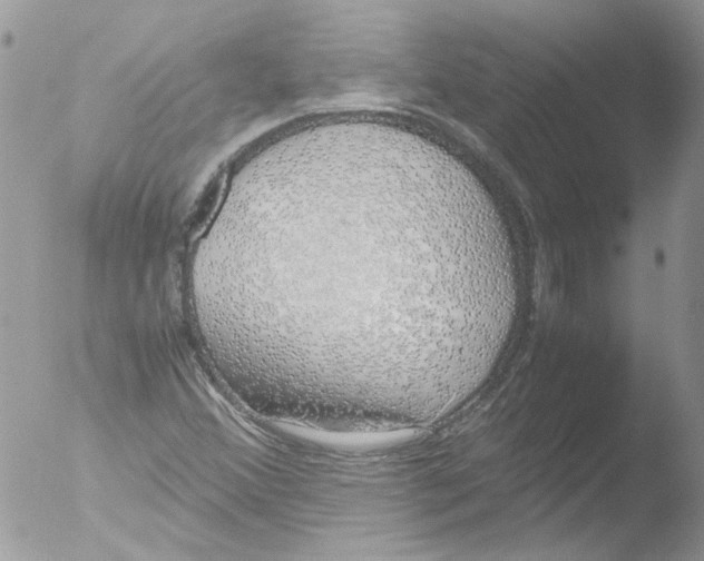 X0000051251356200507152139