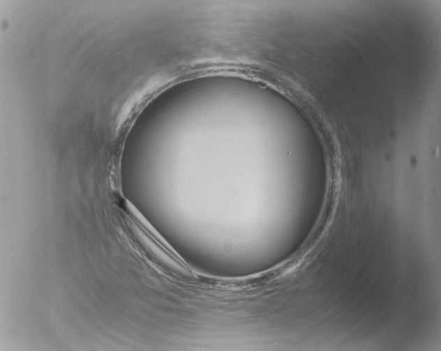 X0000051251357200507152139