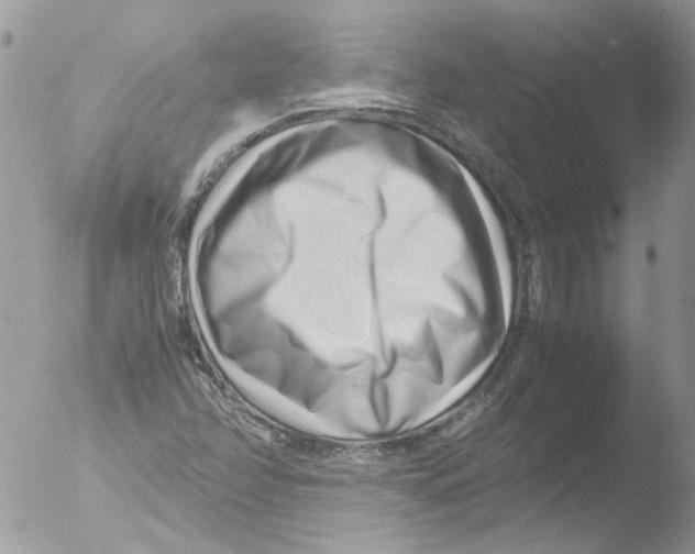 X0000051251358200507152139