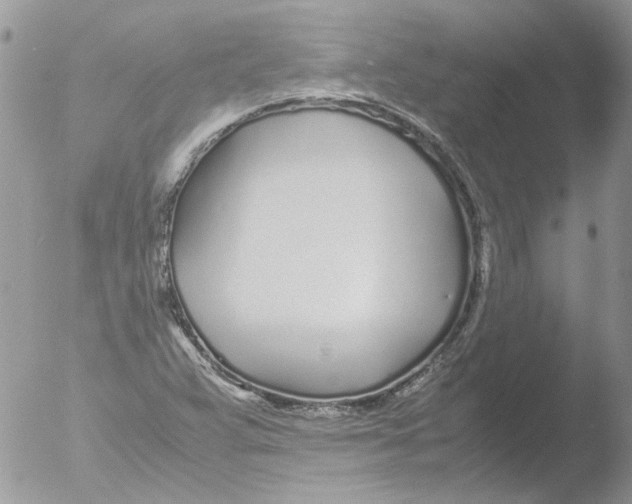 X0000051251359200507152139