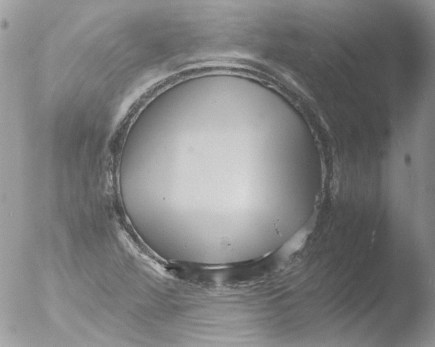 X0000051251360200507152139