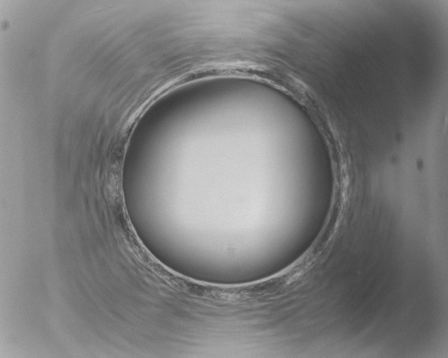 X0000051251361200507152139