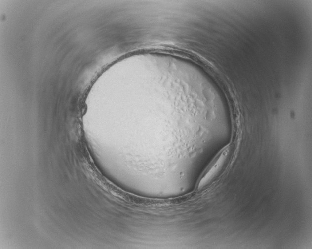 X0000051251363200507152138