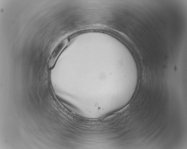 X0000051251364200507152138