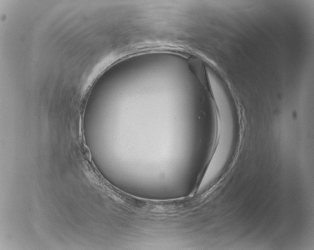 X0000051251365200507152138