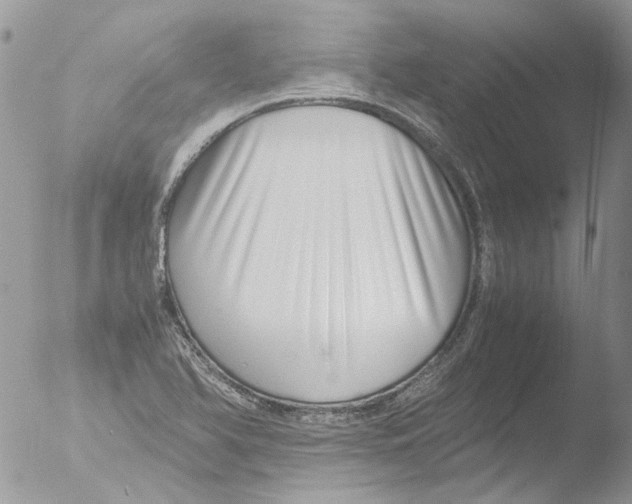 X0000051251366200507152138