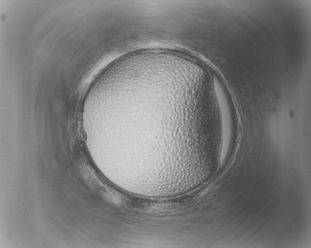 X0000051251367200507152138