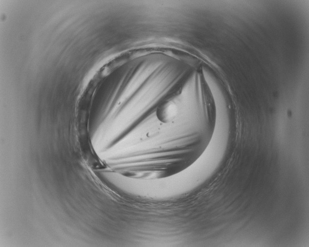 X0000051251368200507152138