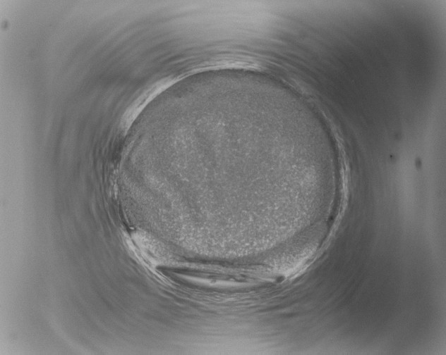 X0000051251369200507152138