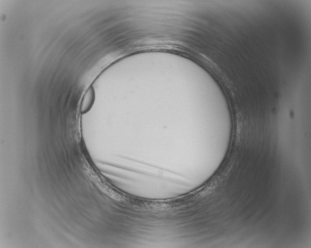 X0000051251370200507152138