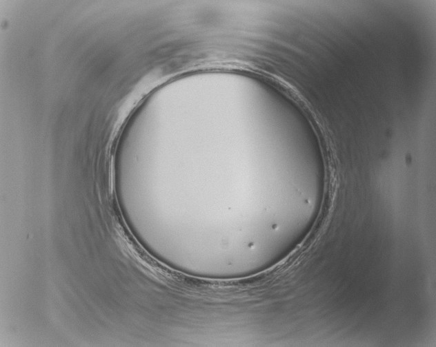 X0000051251371200507152138