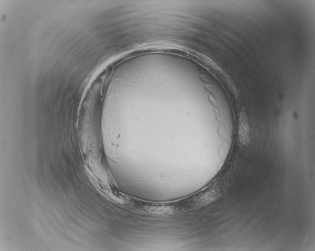 X0000051251372200507152138