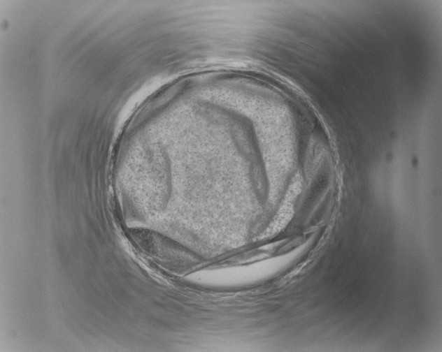 X0000051251373200507152138