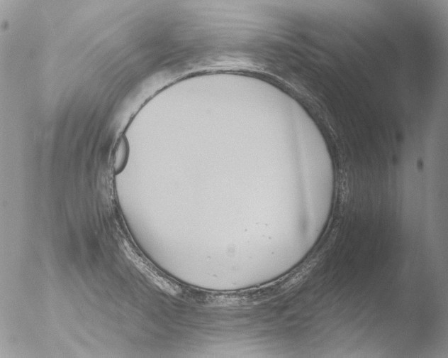 X0000051251374200507152138