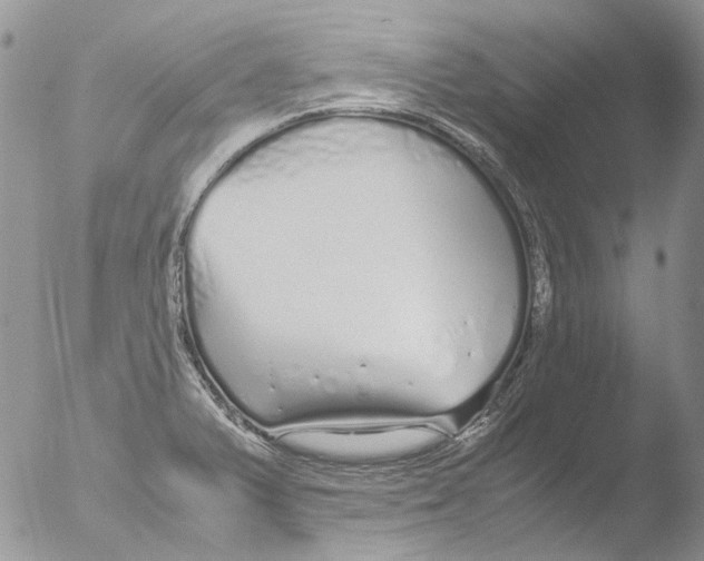 X0000051251375200507152138