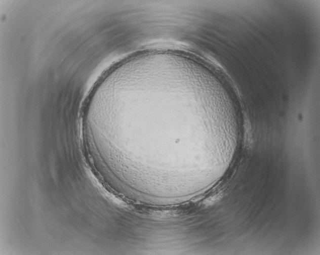 X0000051251376200507152138