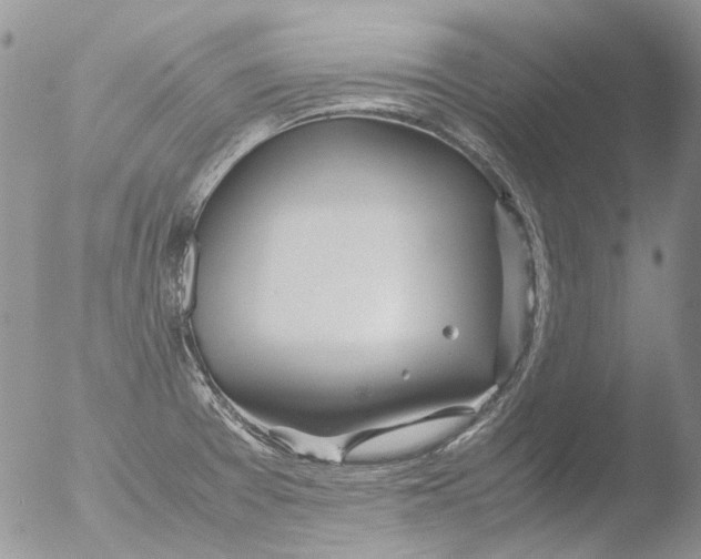 X0000051251377200507152138