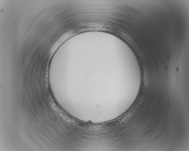 X0000051251378200507152138